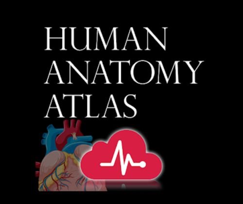 Best-AR-Apps-for-Classrooms