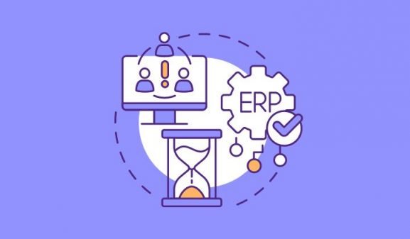 ERP Systems in Business Management