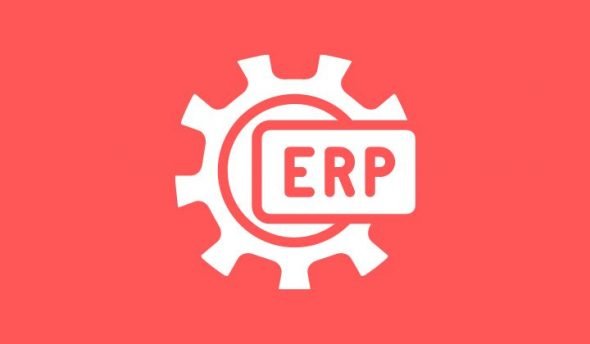 regular and custom software development