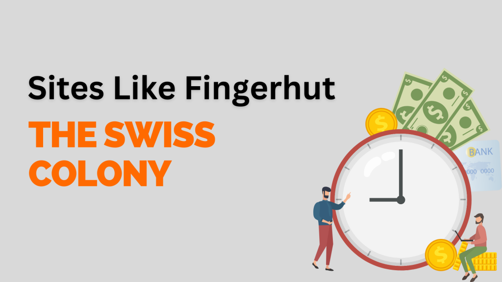 Best Company Like Fingerhut