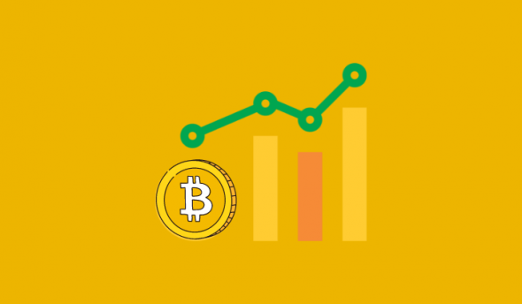 Cryptonewzhub.com Internet - Detailed Guide