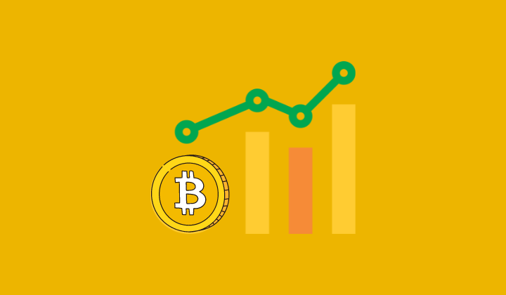 Cryptonewzhub.com Internet - Detailed Guide