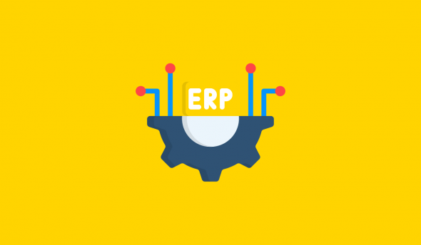Major Disadvantages of ERP
