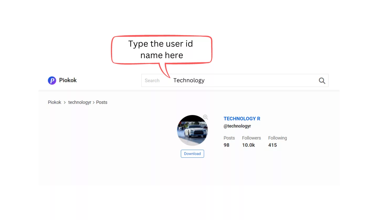 Picnob Instagram&nbsp;Story Viewer Work