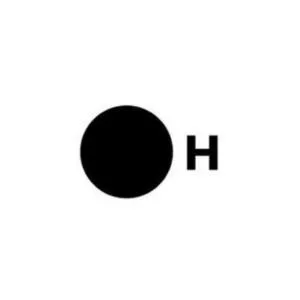 H Company