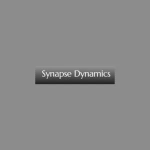 Synapse Dynamics