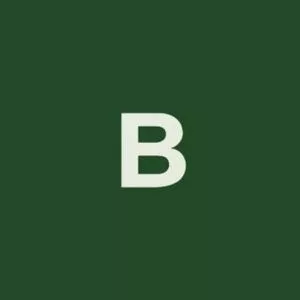 BrainForge AI