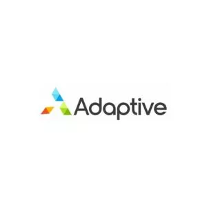 Adaptive Simulations